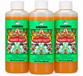 Benjamin’s Kananga Water 3 Pack, 8 fl oz Each, 24 fl oz Total, Traditional Jamaican Scented Water for Personal Fragrance, Baths, Altar & Spiritual Use